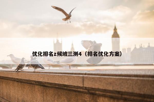优化排名z候坡三测4（排名优化方案）-第1张图片-冷动云