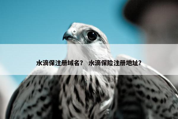 水滴保注册域名？ 水滴保险注册地址？-第1张图片-冷动云