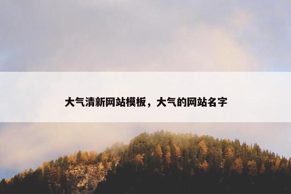 大气清新网站模板，大气的网站名字-第1张图片-冷动云