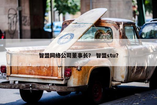 智盟网络公司董事长？ 智盟stu？-第1张图片-冷动云