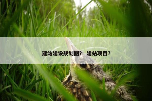建站建设规划图？ 建站项目？-第1张图片-冷动云