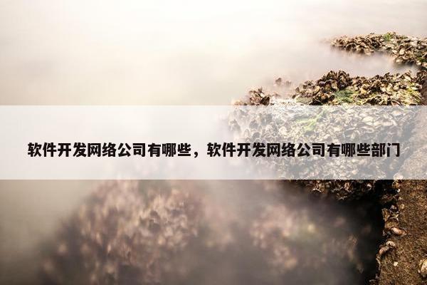 软件开发网络公司有哪些，软件开发网络公司有哪些部门-第1张图片-冷动云