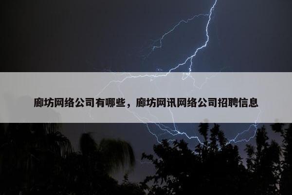 廊坊网络公司有哪些，廊坊网讯网络公司招聘信息-第1张图片-冷动云