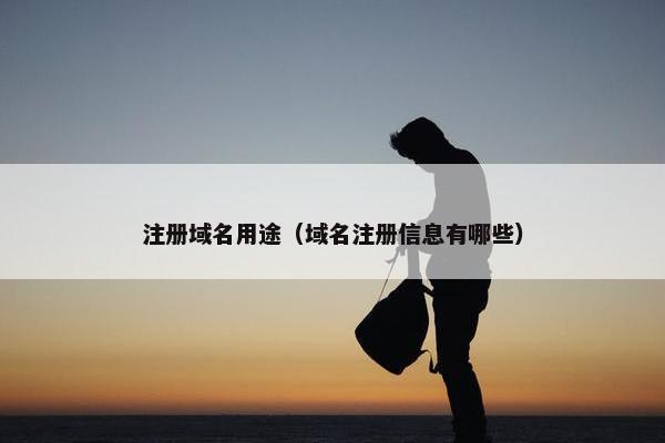 注册域名用途（域名注册信息有哪些）-第1张图片-冷动云