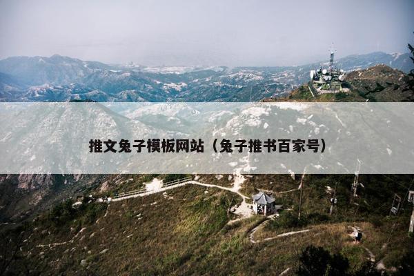 推文兔子模板网站（兔子推书百家号）-第1张图片-冷动云