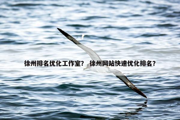 徐州排名优化工作室？ 徐州网站快速优化排名？-第1张图片-冷动云