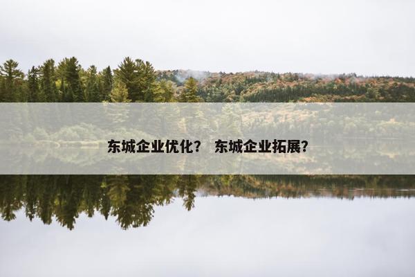 东城企业优化？ 东城企业拓展？-第1张图片-冷动云