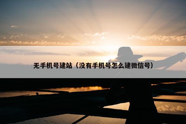无手机号建站（没有手机号怎么建微信号）-第1张图片-冷动云