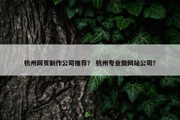杭州网页制作公司推荐？ 杭州专业做网站公司？-第1张图片-冷动云