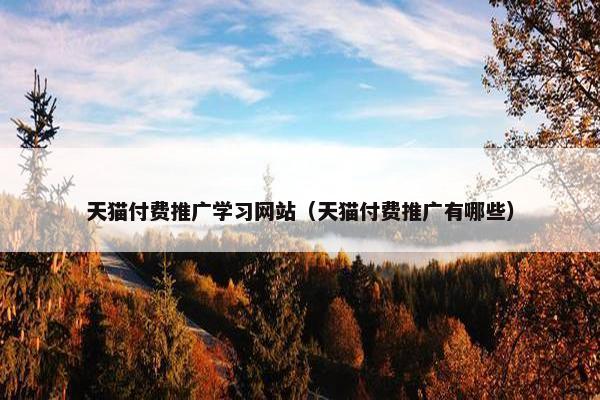天猫付费推广学习网站（天猫付费推广有哪些）-第1张图片-冷动云