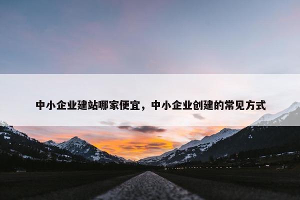 中小企业建站哪家便宜，中小企业创建的常见方式-第1张图片-冷动云