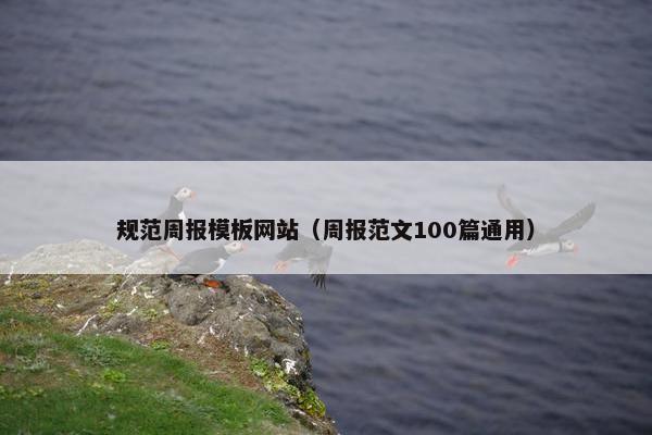 规范周报模板网站（周报范文100篇通用）-第1张图片-冷动云
