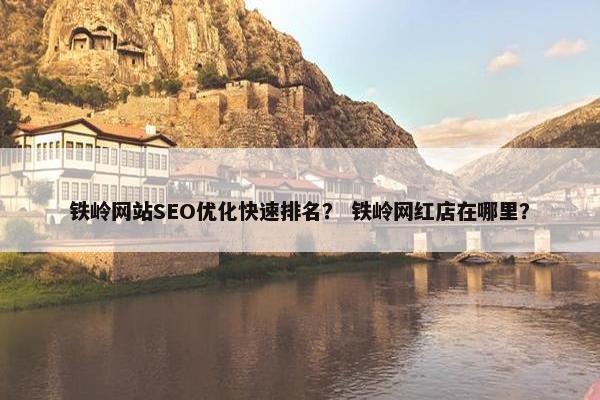 铁岭网站SEO优化快速排名？ 铁岭网红店在哪里？-第1张图片-冷动云