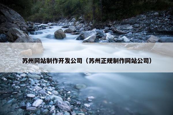 苏州网站制作开发公司（苏州正规制作网站公司）-第1张图片-冷动云