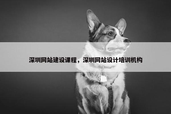 深圳网站建设课程，深圳网站设计培训机构-第1张图片-冷动云