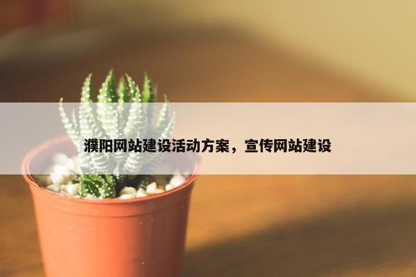 濮阳网站建设活动方案，宣传网站建设-第1张图片-冷动云