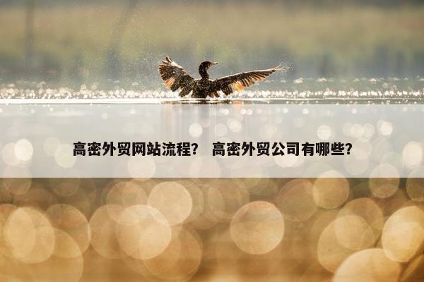 高密外贸网站流程？ 高密外贸公司有哪些？-第1张图片-冷动云