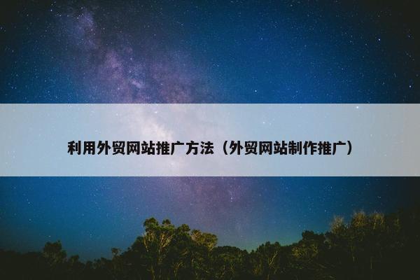 利用外贸网站推广方法（外贸网站制作推广）-第1张图片-冷动云