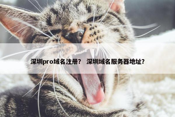 深圳pro域名注册？ 深圳域名服务器地址？-第1张图片-冷动云