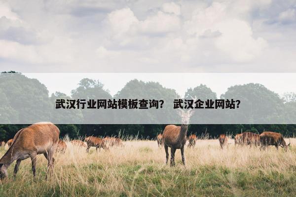 武汉行业网站模板查询？ 武汉企业网站？-第1张图片-冷动云
