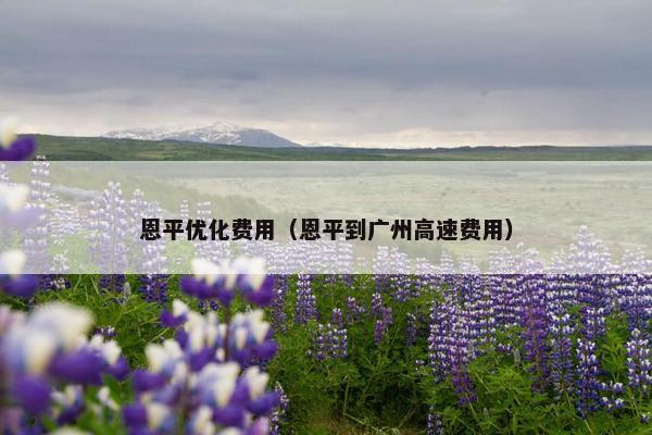 恩平优化费用（恩平到广州高速费用）-第1张图片-冷动云