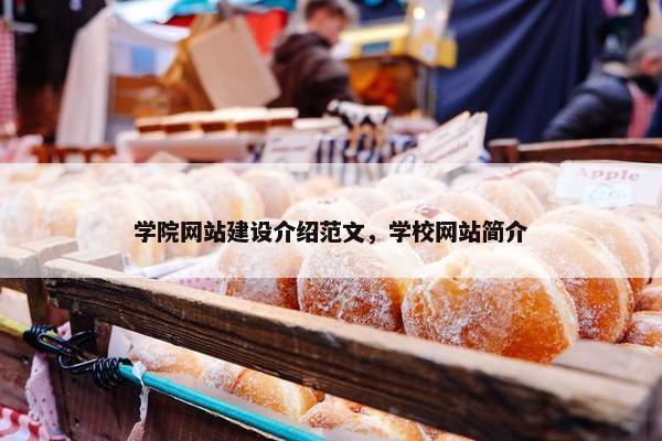 学院网站建设介绍范文，学校网站简介-第1张图片-冷动云