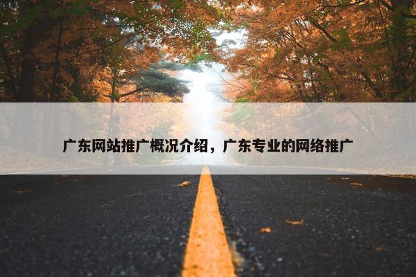 广东网站推广概况介绍，广东专业的网络推广-第1张图片-冷动云