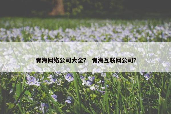 青海网络公司大全？ 青海互联网公司？-第1张图片-冷动云