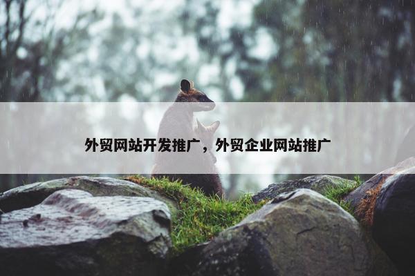 外贸网站开发推广，外贸企业网站推广-第1张图片-冷动云