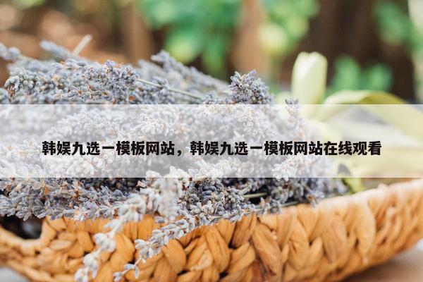 韩娱九选一模板网站，韩娱九选一模板网站在线观看-第1张图片-冷动云