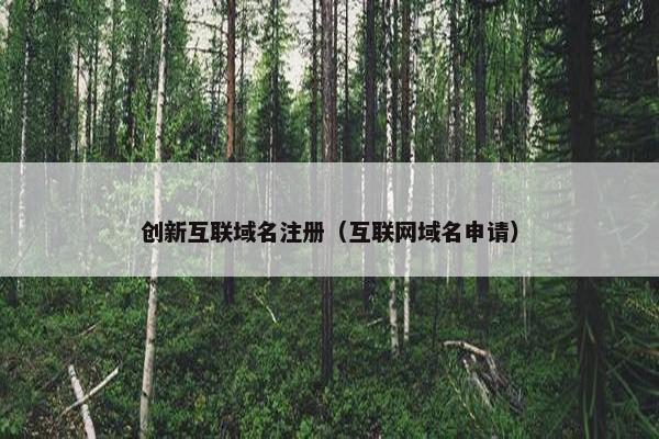 创新互联域名注册（互联网域名申请）-第1张图片-冷动云