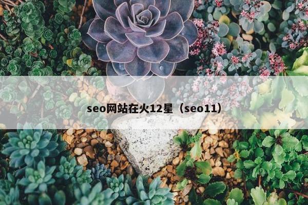 seo网站在火12星（seo11）-第1张图片-冷动云