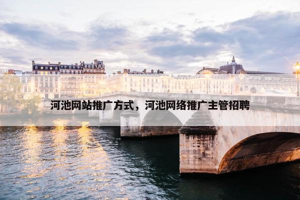 河池网站推广方式，河池网络推广主管招聘-第1张图片-冷动云