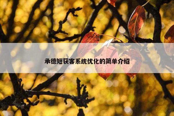 承德短获客系统优化的简单介绍-第1张图片-冷动云