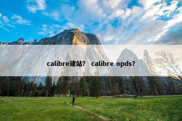 calibre建站？ calibre opds？-第1张图片-冷动云