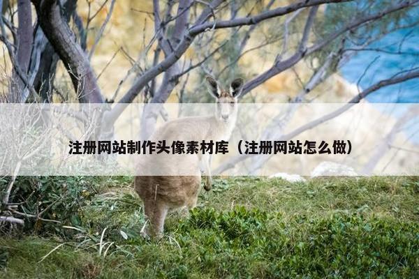 注册网站制作头像素材库（注册网站怎么做）-第1张图片-冷动云