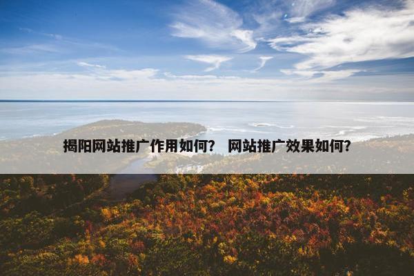 揭阳网站推广作用如何？ 网站推广效果如何？-第1张图片-冷动云