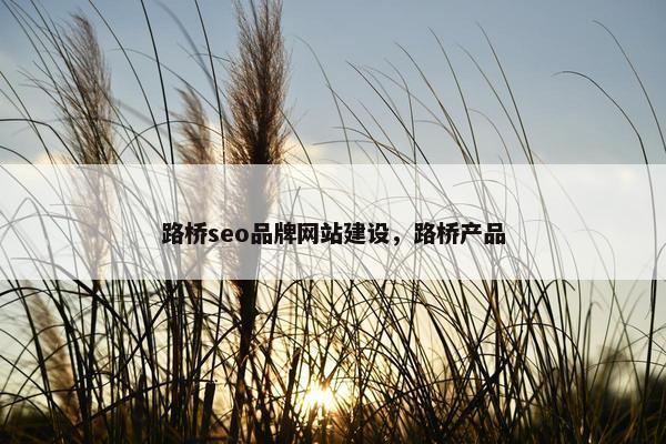 路桥seo品牌网站建设，路桥产品-第1张图片-冷动云