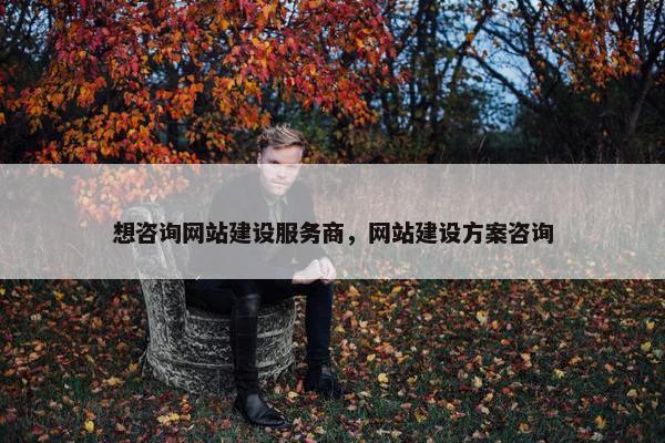 想咨询网站建设服务商，网站建设方案咨询-第1张图片-冷动云