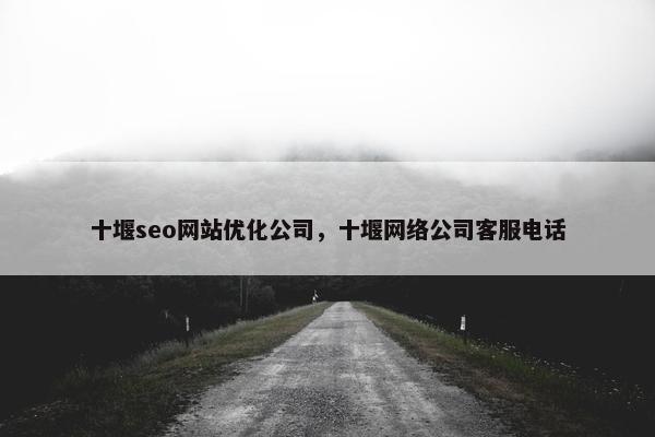 十堰seo网站优化公司，十堰网络公司客服电话-第1张图片-冷动云