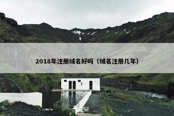 2018年注册域名好吗（域名注册几年）-第1张图片-冷动云