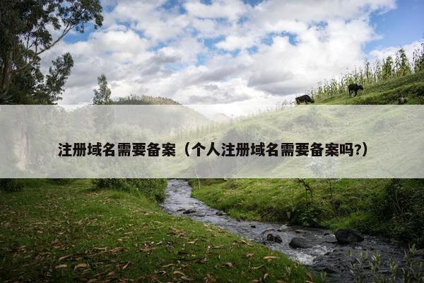 注册域名需要备案（个人注册域名需要备案吗?）-第1张图片-冷动云