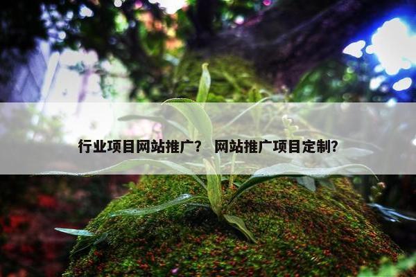 行业项目网站推广？ 网站推广项目定制？-第1张图片-冷动云