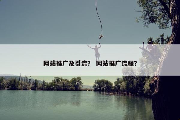 网站推广及引流？ 网站推广流程？-第1张图片-冷动云