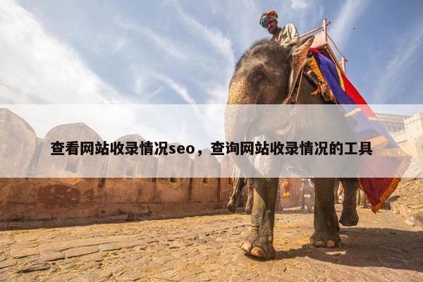 查看网站收录情况seo，查询网站收录情况的工具-第1张图片-冷动云