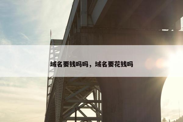 域名要钱吗吗，域名要花钱吗-第1张图片-冷动云