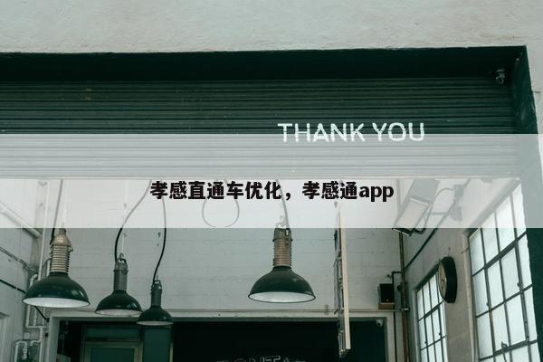 孝感直通车优化，孝感通app-第1张图片-冷动云