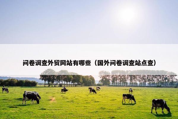 问卷调查外贸网站有哪些（国外问卷调查站点查）-第1张图片-冷动云