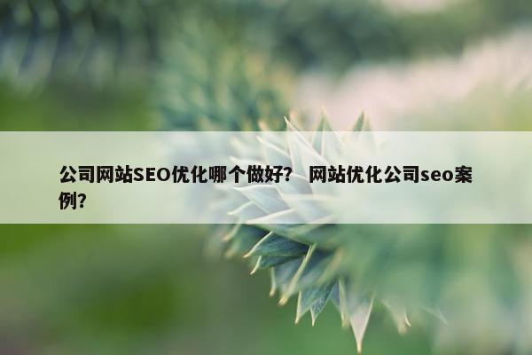 公司网站SEO优化哪个做好？ 网站优化公司seo案例？-第1张图片-冷动云