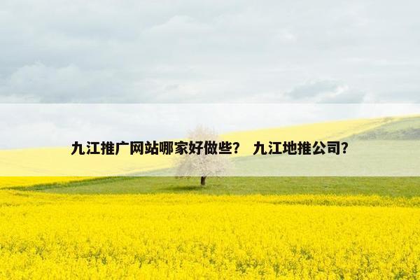 九江推广网站哪家好做些？ 九江地推公司？-第1张图片-冷动云